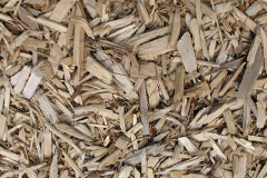 biomass boilers Whittytree
